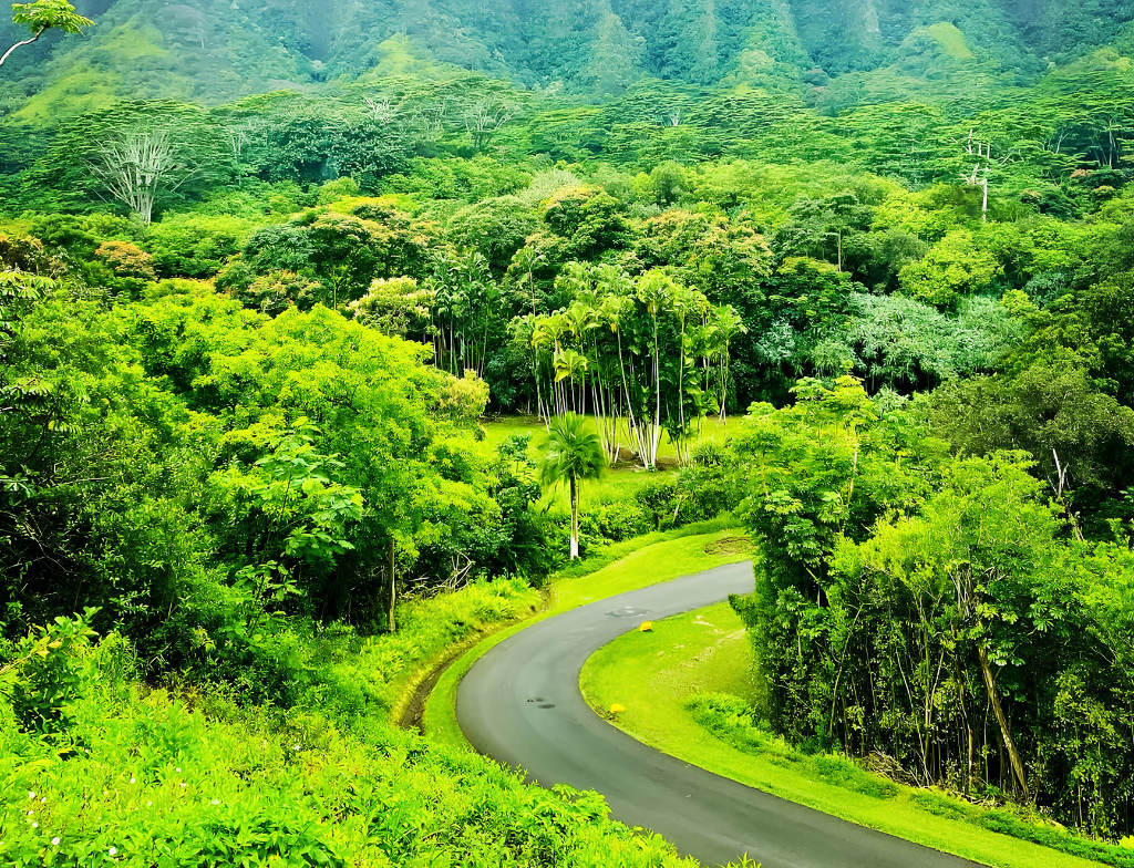 Ho'omaluhia Park hiking trails