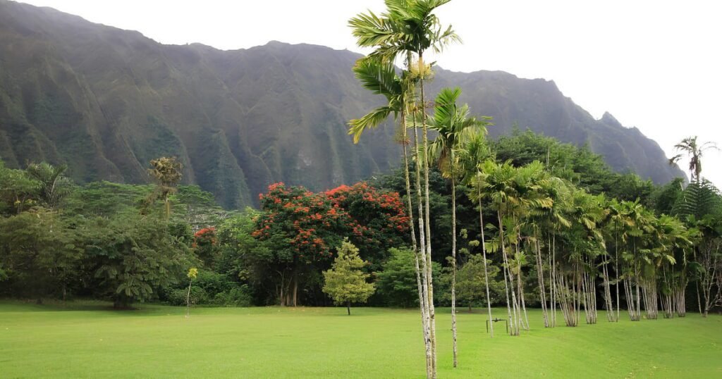 Ho'omaluhia Park featured image