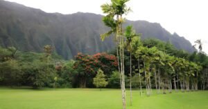 Ho'omaluhia Park featured image