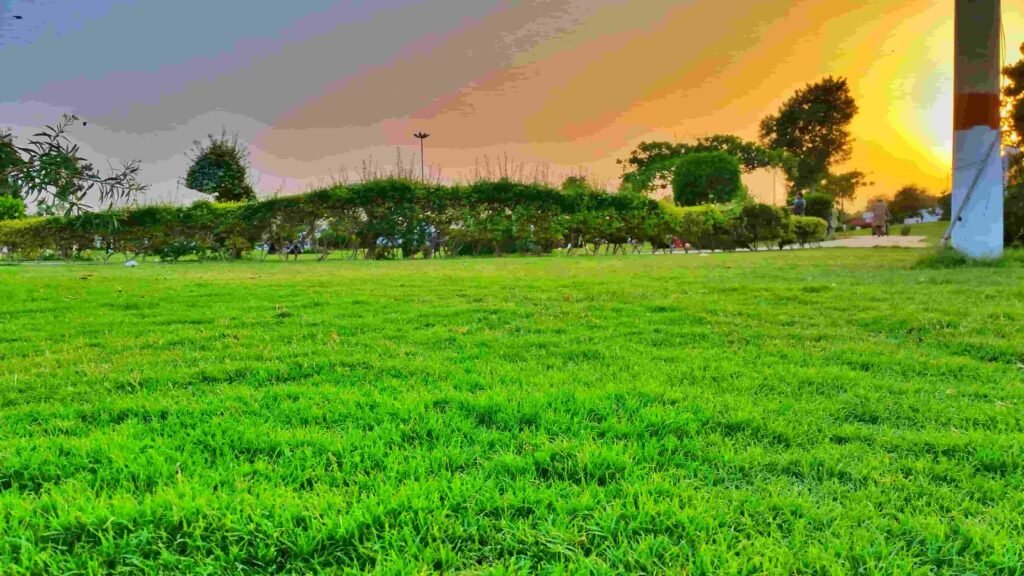 Nisar shaheed pARK FEATURED IMAGE