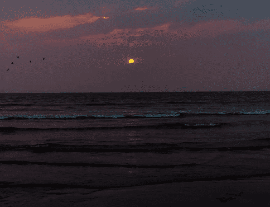 clifton beach sunset