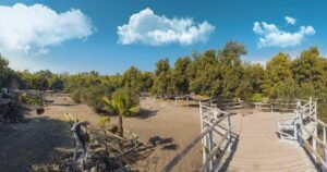 Rana Resort & Safari Park featured image