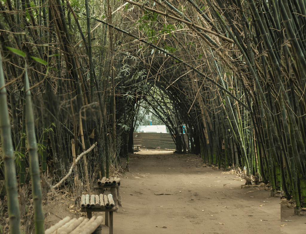 RanaResortandLuxuryParkWALKAREA