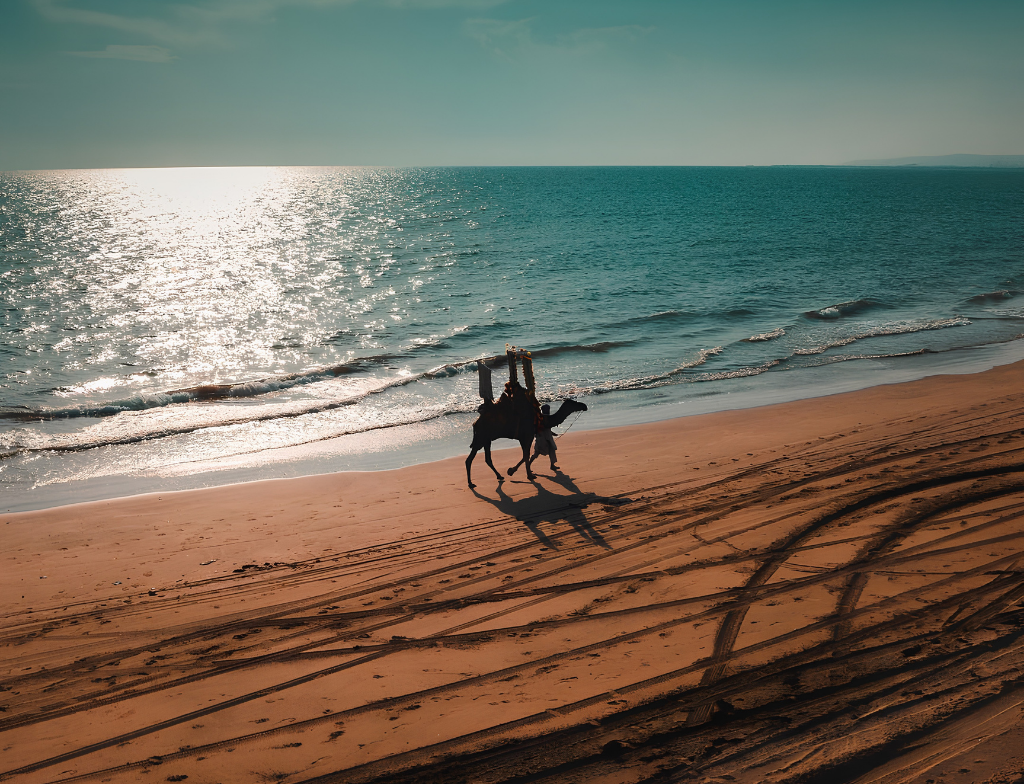 Sandspit Activities