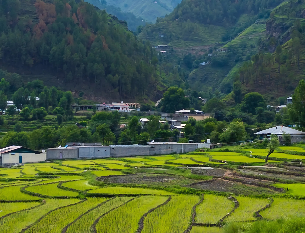 Final Thoughts Siran Valley