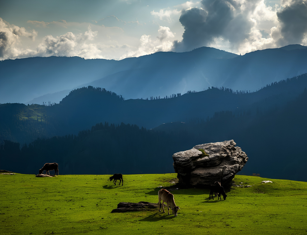 Siran Valley Meadows