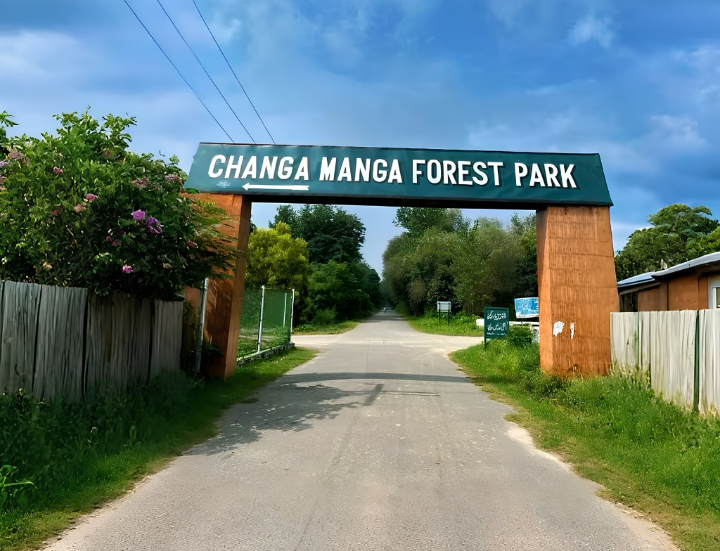 changa manga forest park