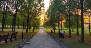 F9 PARK FEATURED IMAGE