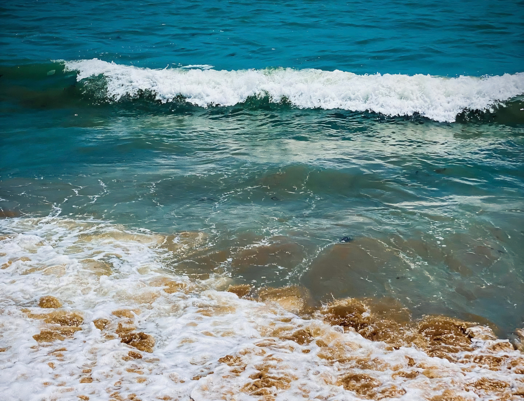 Things to Do at Hawke's Bay Beach